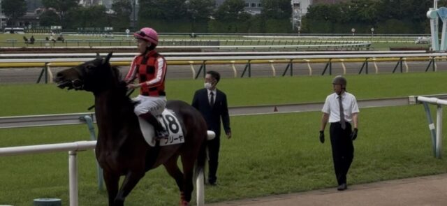 本馬場入場 4R(東京競馬場)