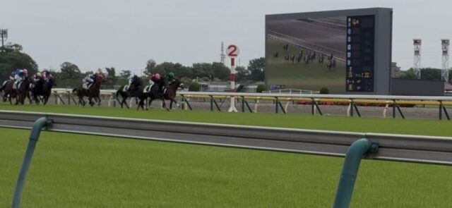 第4R 3歳未勝利 1,600メートル(芝)→「直線」