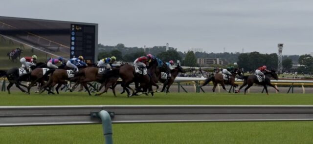 第4R 3歳未勝利 1,600メートル(芝)→「直線」③