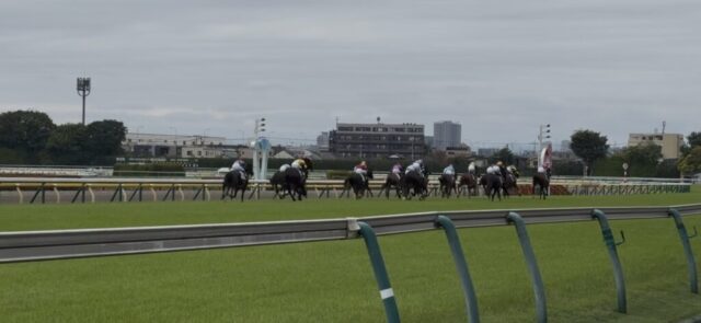 第4R 3歳未勝利 1,600メートル(芝)→「直線」④