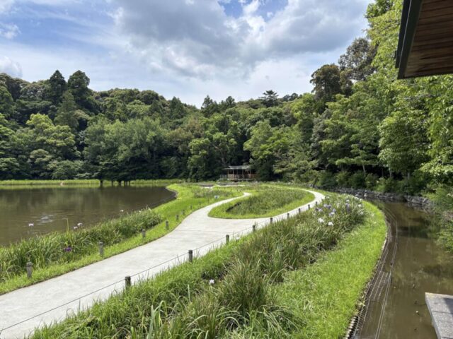 まがたま池③(伊勢神宮・外宮)