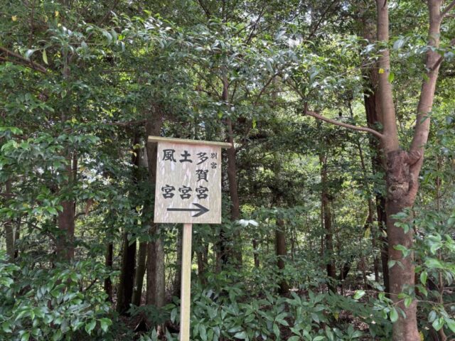 参道③ (伊勢神宮・外宮)