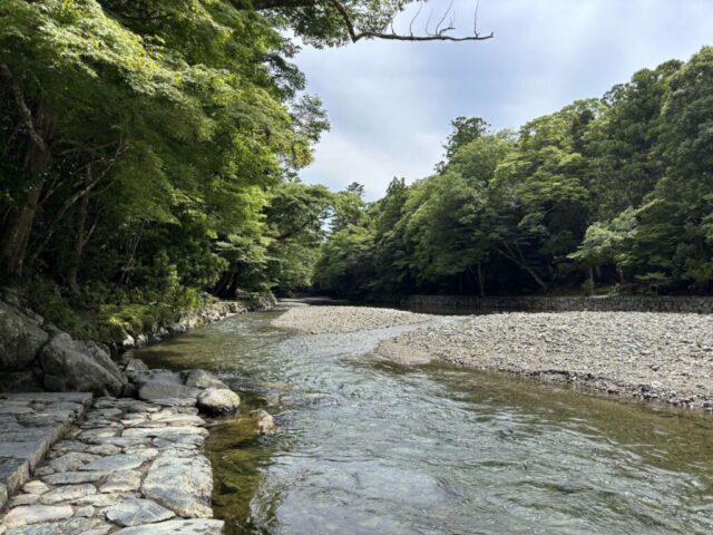五十鈴川②（伊勢神宮・内宮）