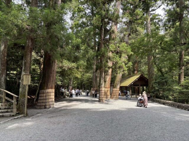 参道③（伊勢神宮・内宮）