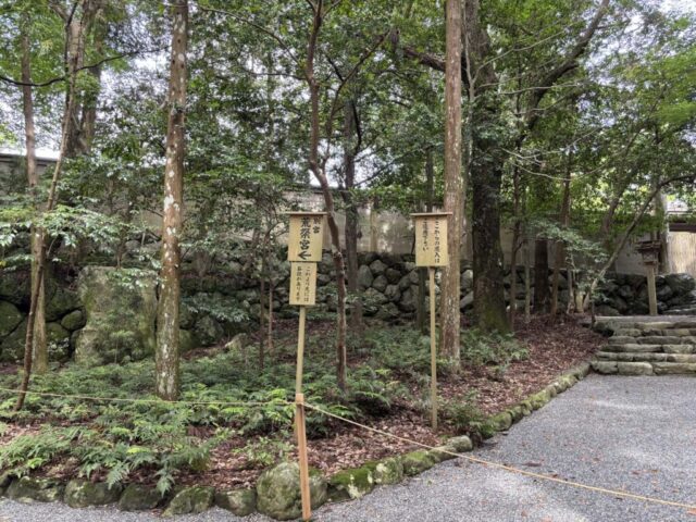 参道④（伊勢神宮・内宮）