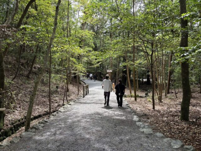 参道⑦（伊勢神宮・内宮）