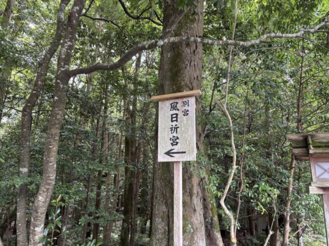 参道⑧（伊勢神宮・内宮）