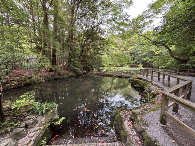 御池（伊勢神宮・内宮）