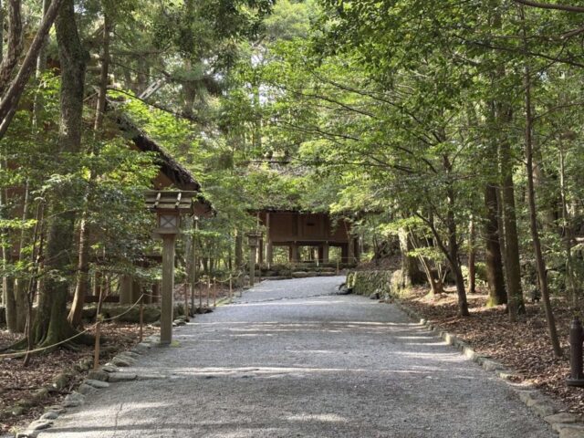 参道③（伊勢神宮・内宮）